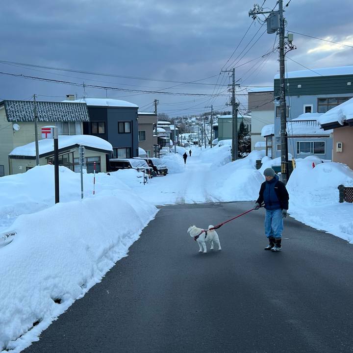 66e4b68d 819c 4394 a052 1bd6a8c20ac1 1770071696498