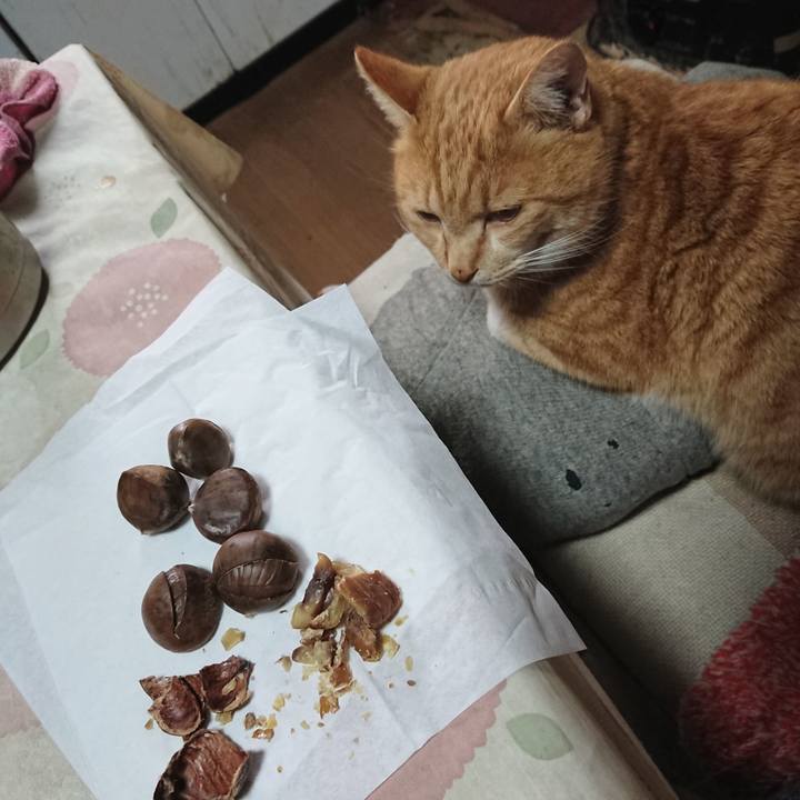 66e4d610 9487 4acc 80a2 53835bfa2083 1577854085594