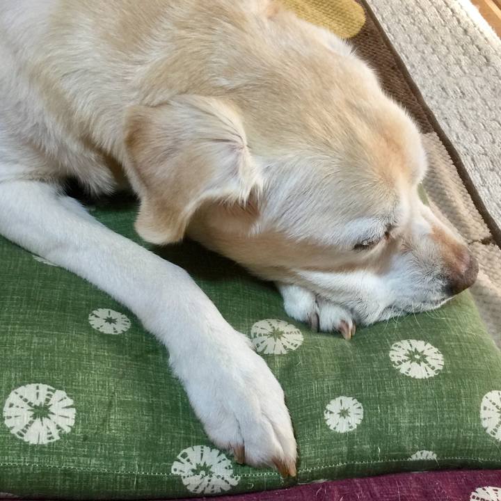 66e4da0b b3bb 42a9 b7b3 091e93d93de4 1521069437575