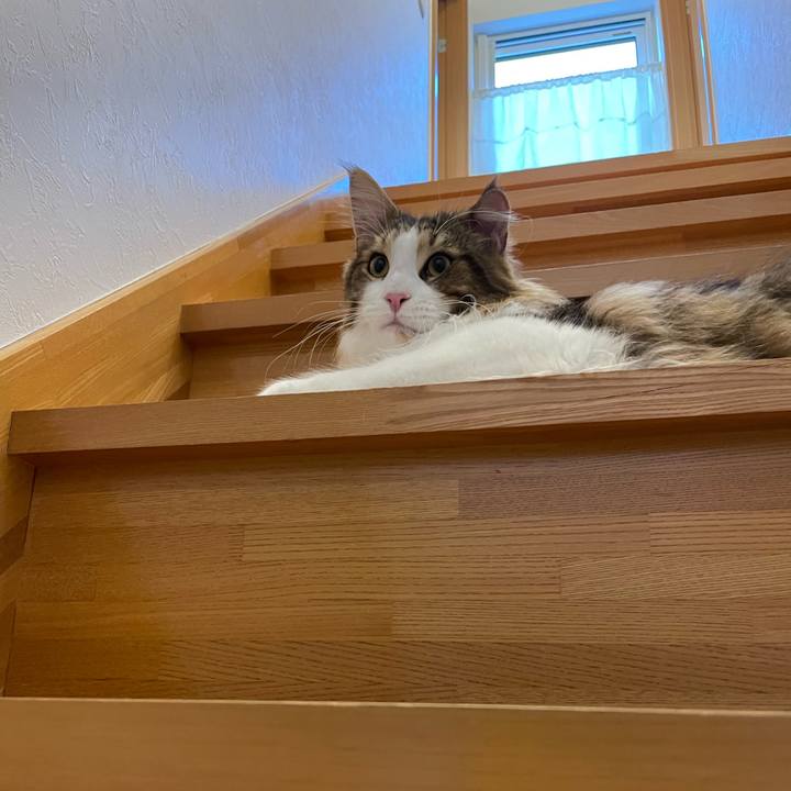 66e4fb97 9e92 4dac 8f4c c4d6fbf2e42c 1649280774009