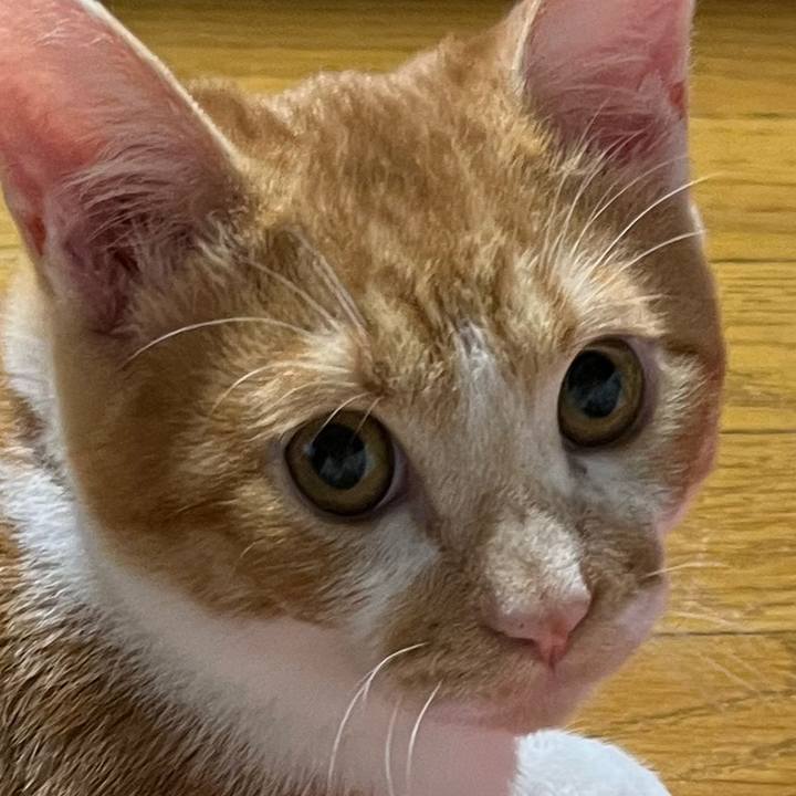 66e51a22 26fc 4e6c 8ec9 c9e7fbf768a3 1668866398450