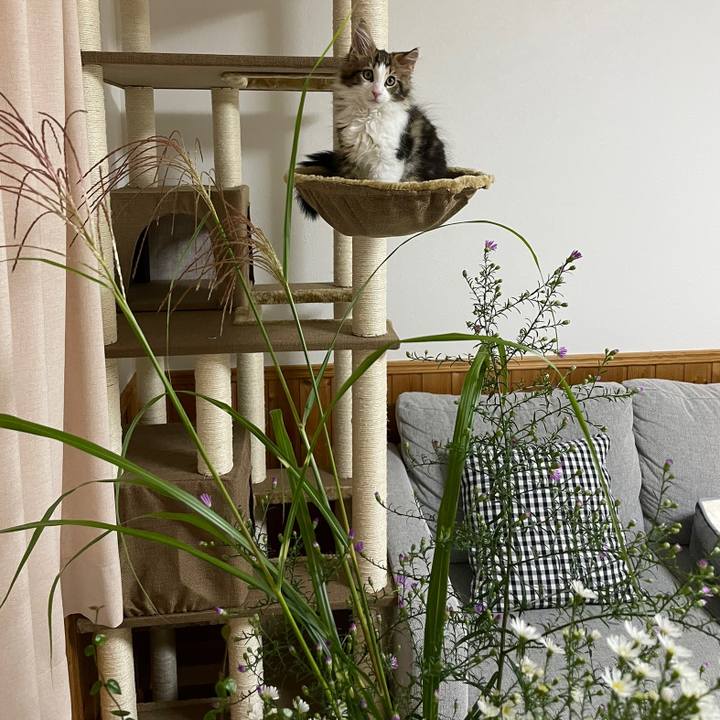 66e52c2e 80ea 4276 861f bad935f8fa23 1632306381728