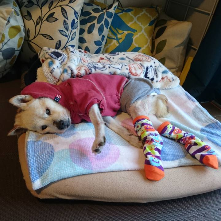 66e53620 8f08 441b 96e4 a559e7aad1d1 1540944589478