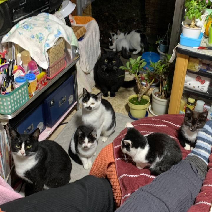 66e53f51 cd2c 4cae 9942 ea62bc1d8428 1574597892509