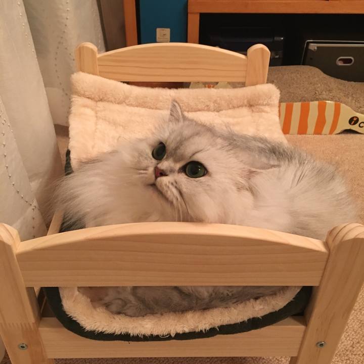 66e57d47 ca86 44a6 bcb2 1cdb4473cba3 1509156999193