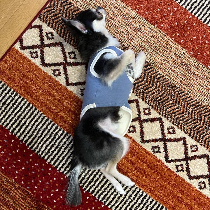 66e588fa 9b49 4f7d 9608 7e381a0564c0 1670161407096