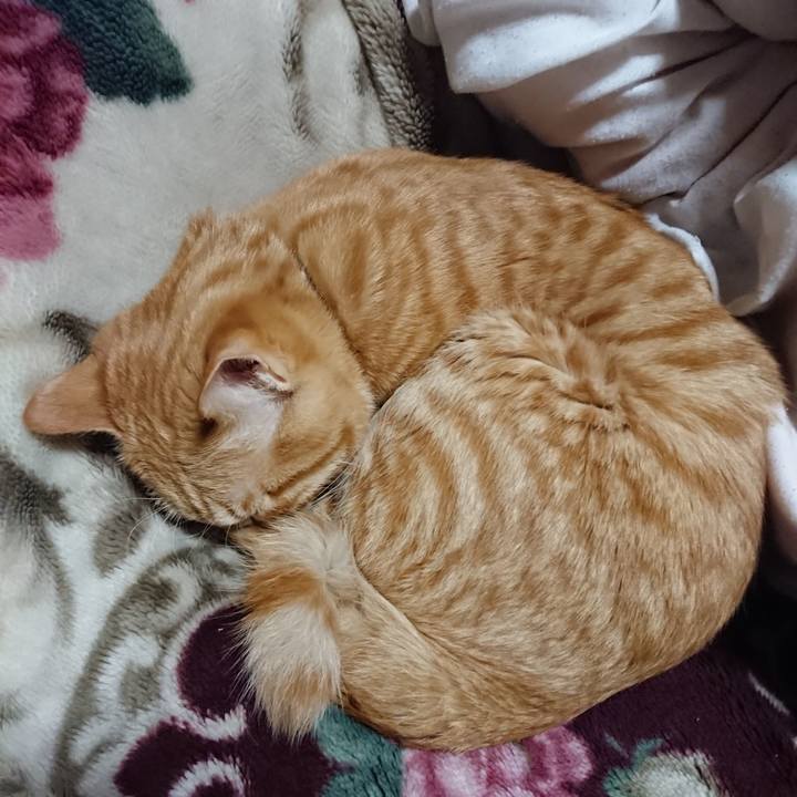 66e5d28e 21f8 471f 8c12 8ef3f248eb70 1643025536266