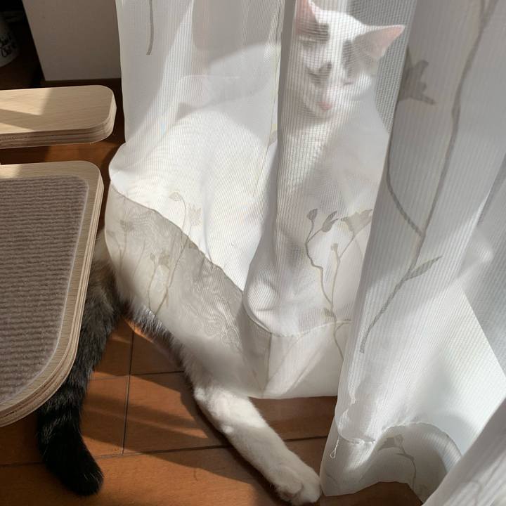 66e61c6c 2d3d 4f7e 8d27 6aca0549fd5a 1618132860464