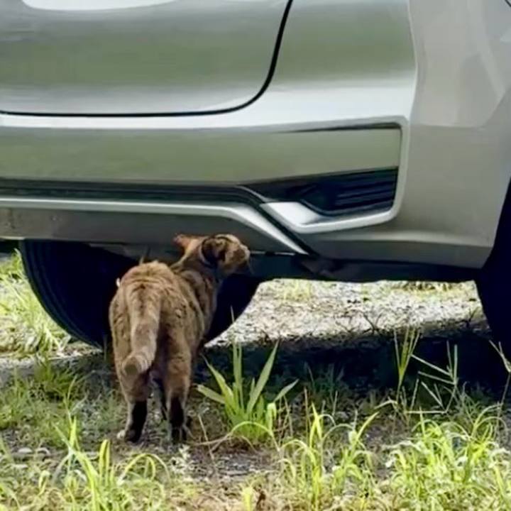 66e7364c 4393 4330 b311 e2e28bc2d9dc 1755053921073