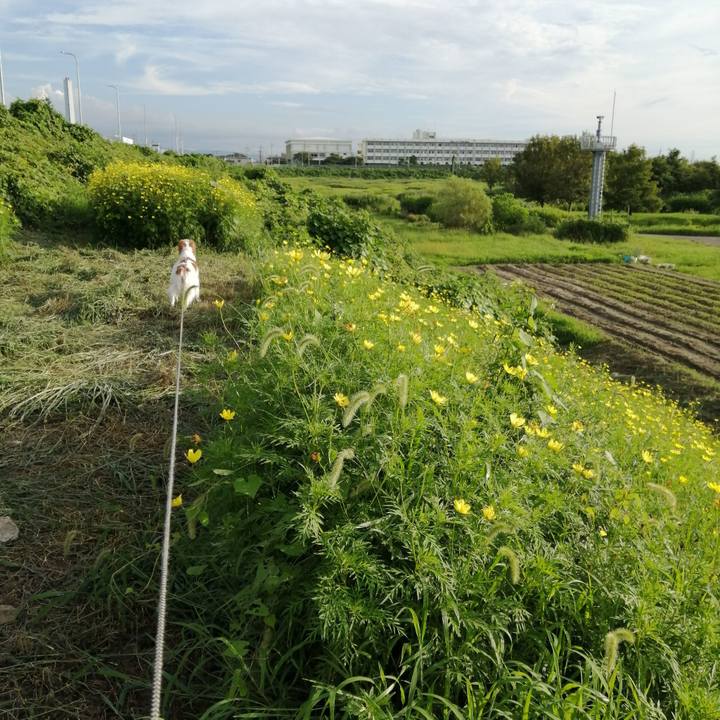 66e75f89 246a 4eed 93c7 02ab77f14f17 1567424382097