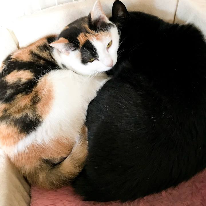 66e7ac1b 9759 405d ba8d bba1b080a1cf 1518101751023