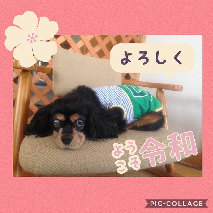 66e7d815 7a2a 4a3e 8e51 e70acf09c0ed 1556811463889