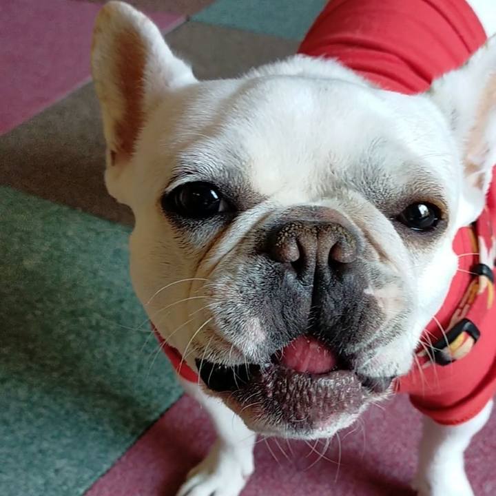 66e8440d aba5 4262 9b1e 82e5ada8ebbc 1649454685876