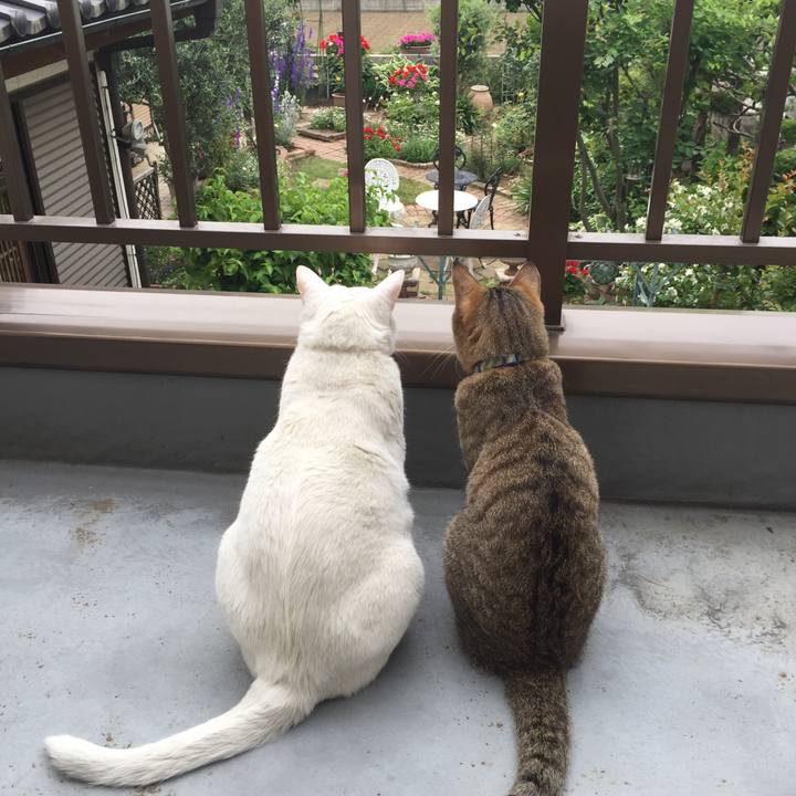 66e848c1 014d 4464 adf8 41f0c635b2da 1527630108243