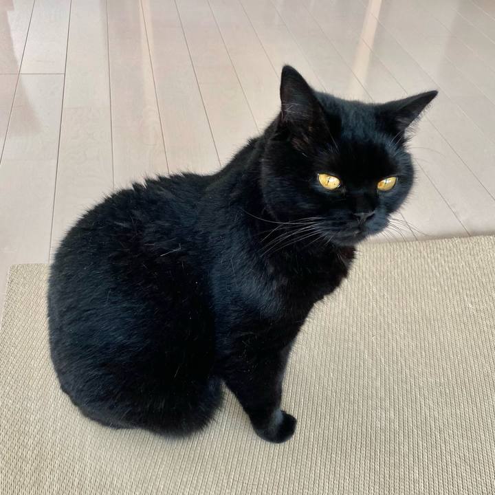 66e86327 765f 4d21 a029 9b93762fbd97 1659911764448