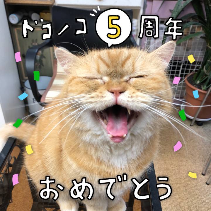 66e88074 1644 4d80 88a9 9b7c56aee169 1622934888551