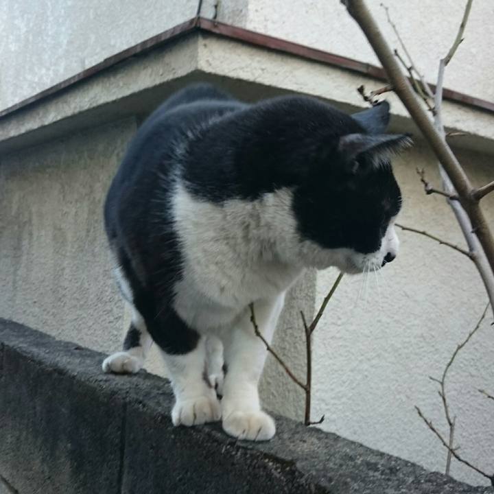 66e8beab cbed 4786 a69a 007b519bb737 1513207065107