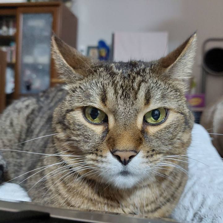 66e8c097 39c2 4050 9275 3967f1de1aad 1634475238848