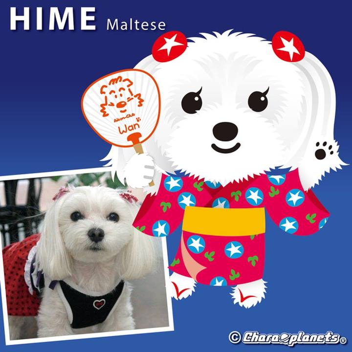 66e8c87f fd60 4e0a 9ea9 0c03a3a14ee9 1568721940375