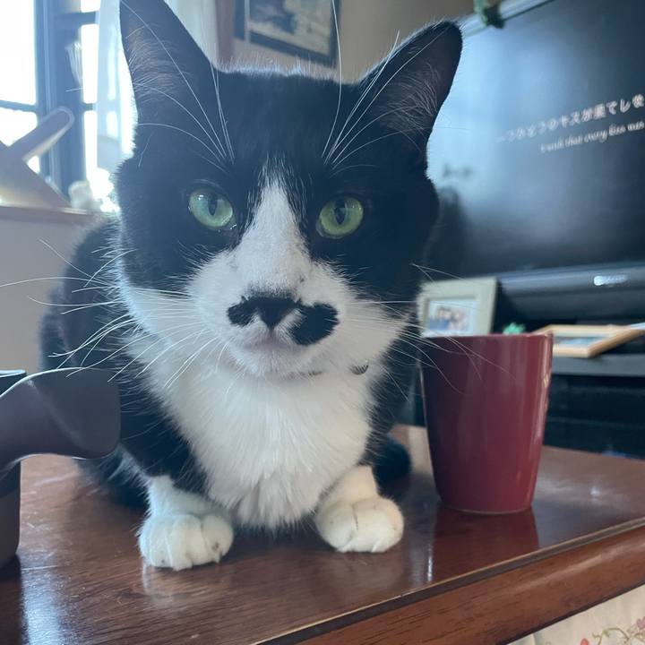 66e91143 3f67 416a 90ea e6c174d352cb 1672555211678