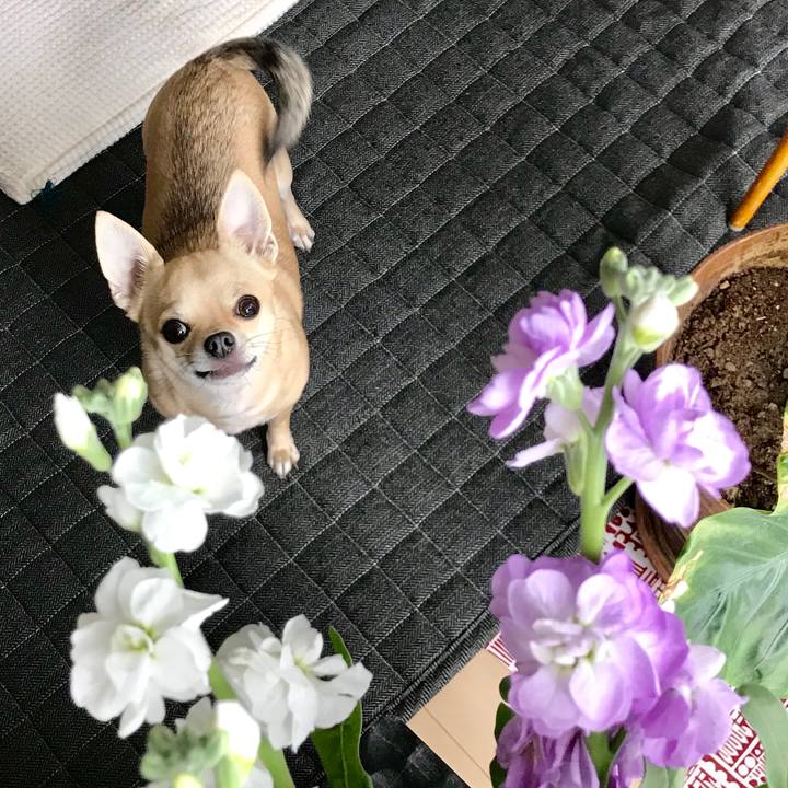 66e92035 6c2b 4e69 89ef d98b5ecd9550 1544850836198