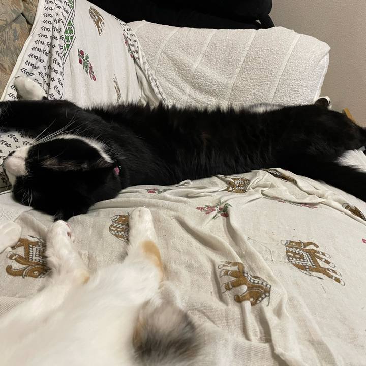 66e920aa e8b2 449c be0c 6d5be2b78d69 1686492468034