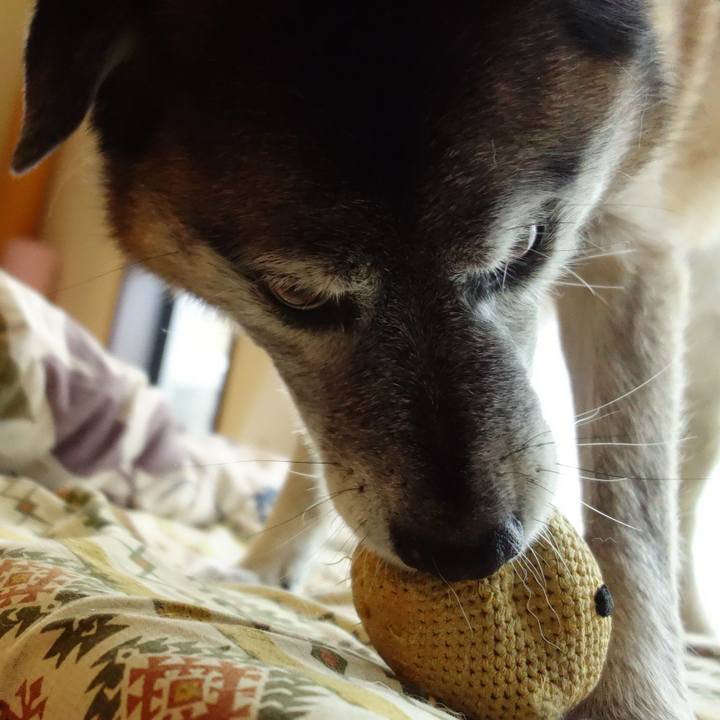 66e92c95 84bf 432c 8ecb 2c0bf7ad5e26 1677632184378