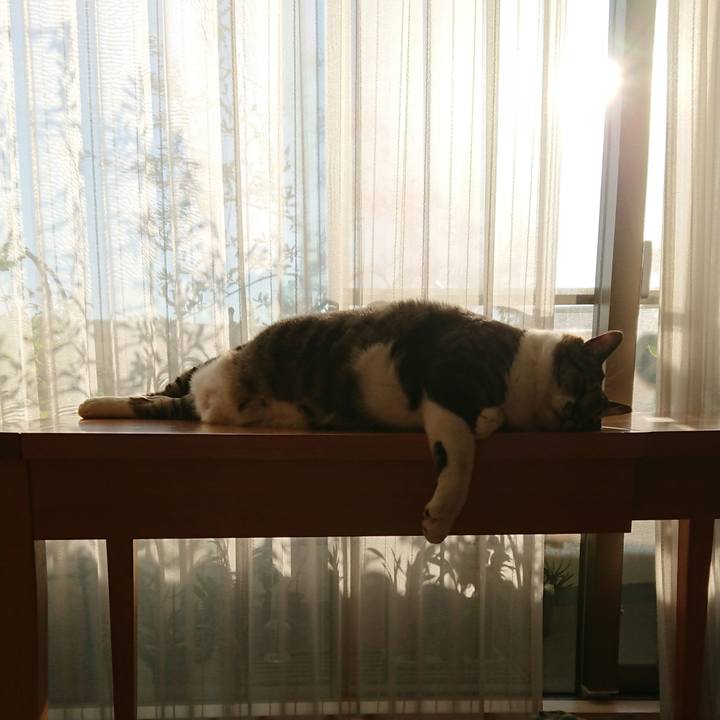 66e95eaf 1e41 4289 ae55 f69eb1f275b3 1541804469530