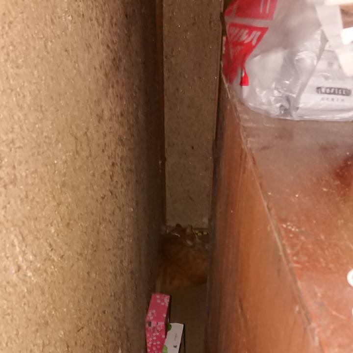 66e97959 e963 42cc a2b8 447a1cf62788 1597443400713