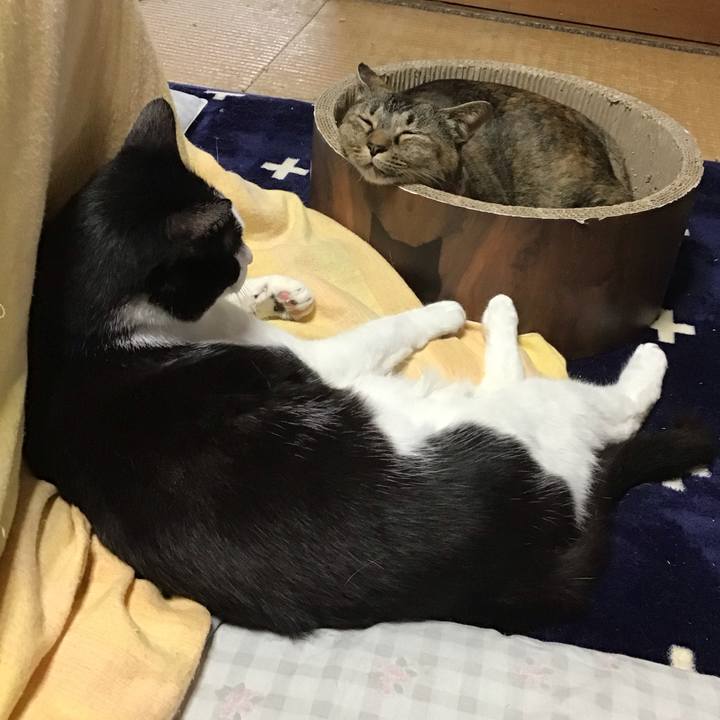 66e98290 28da 48dd a2e1 95b346409e36 1713853810031