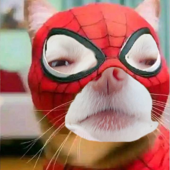 66e9a14c fcb6 4ed6 8e6e 530f5fd5f716 1720951460638