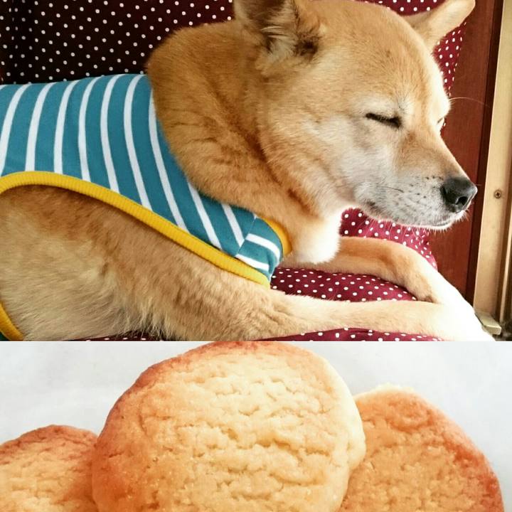 66e9aa4f f23a 450b ad32 4f9783f8b6db 1588586462107