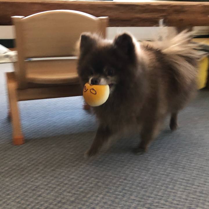 66e9ac2a 73e0 4ea1 a766 8b6a7ac39505 1545696955640