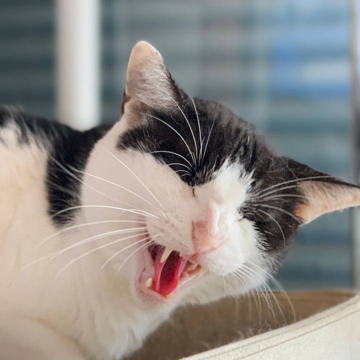 66e9b117 965f 4d71 8df6 55594ed0388d 1600480681441