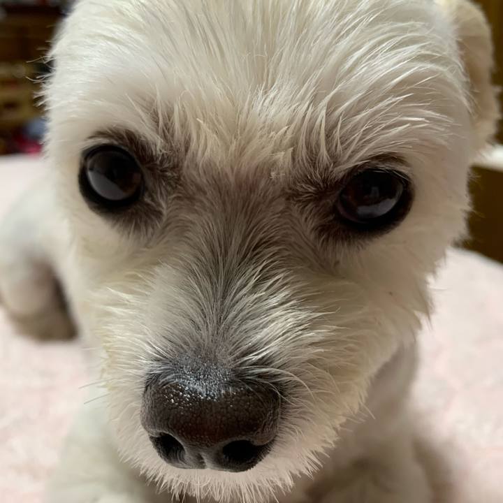 66e9d5c2 a264 497b a862 6fc9f9056484 1631797380714