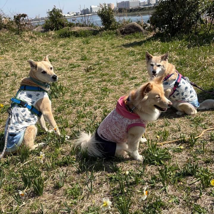 66ea1fa3 9b9a 4ba1 a04a 4d95760c9292 1774095365150