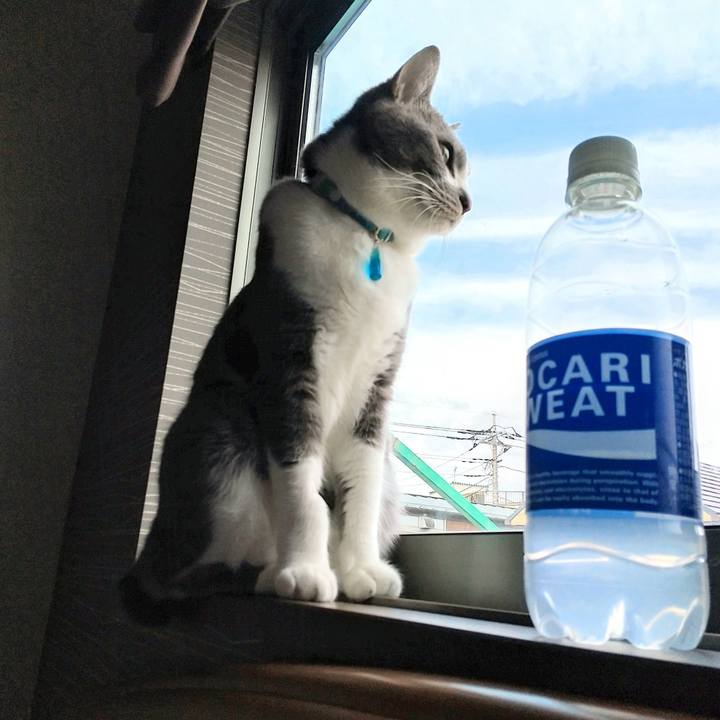 66ea6ba7 f2ba 42aa 997e f08c801431e5 1648781805844