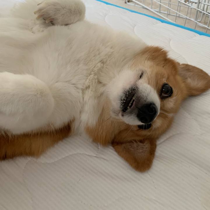 66ea76d1 215e 42b2 a7e3 f890caf1a9e5 1689631184470