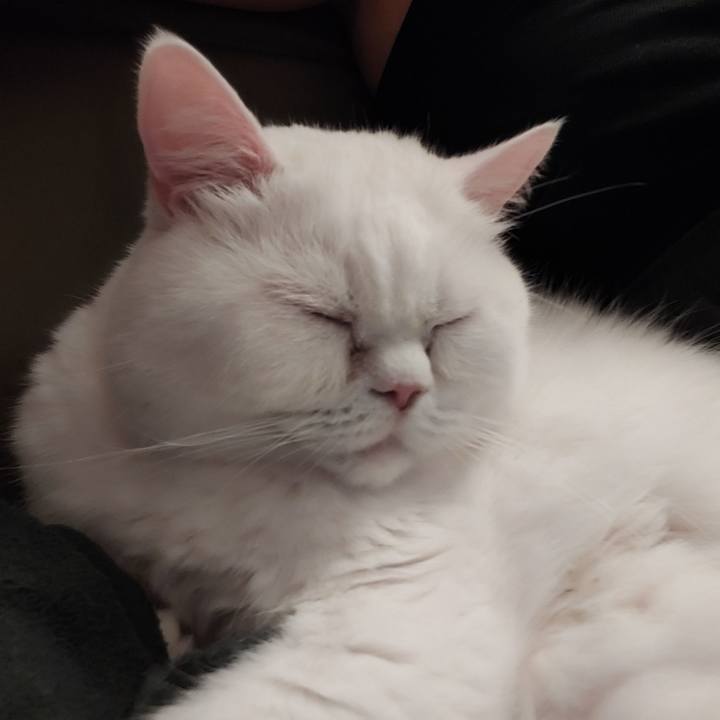 66ea7de9 2d9b 4406 ac1b 97184342fdf4 1620029008652