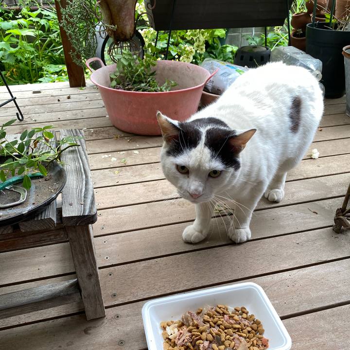 66ea8f95 08c5 4564 a273 cc8383d2687c 1621382740269