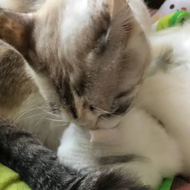 66eab6bb 5d51 4b52 a566 f87820645b55 1510389504967