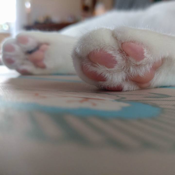 66eac0d2 5f90 4b9a 95c2 155273a21641 1694995137329