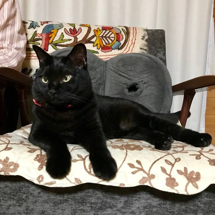 66eaca44 59f0 4267 86e8 59fb9867fa9e 1526392557276