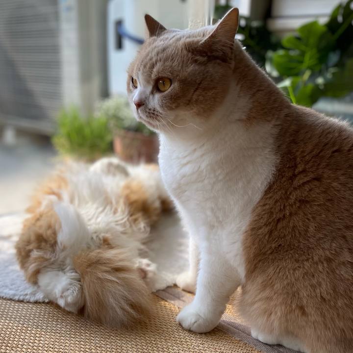 66eacef4 7c66 464c 9505 cd84b6558981 1604466707533