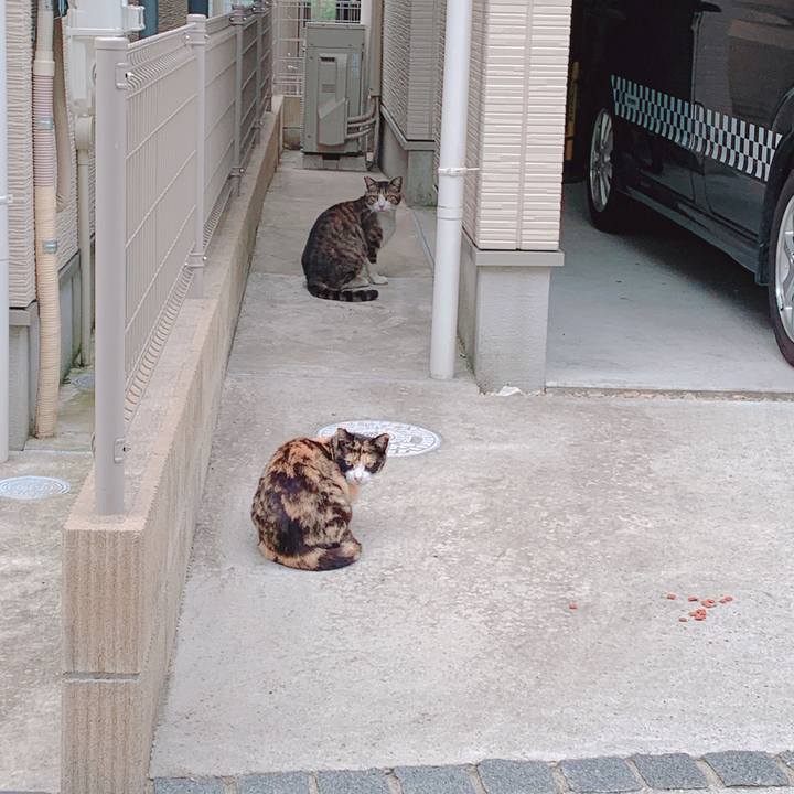 66eae133 e554 422f 83ca d2189a430c40 1559530827044