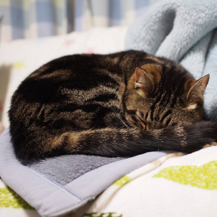 66eaec87 b264 4fd4 9465 5d35ea6bb41b 1589462776300