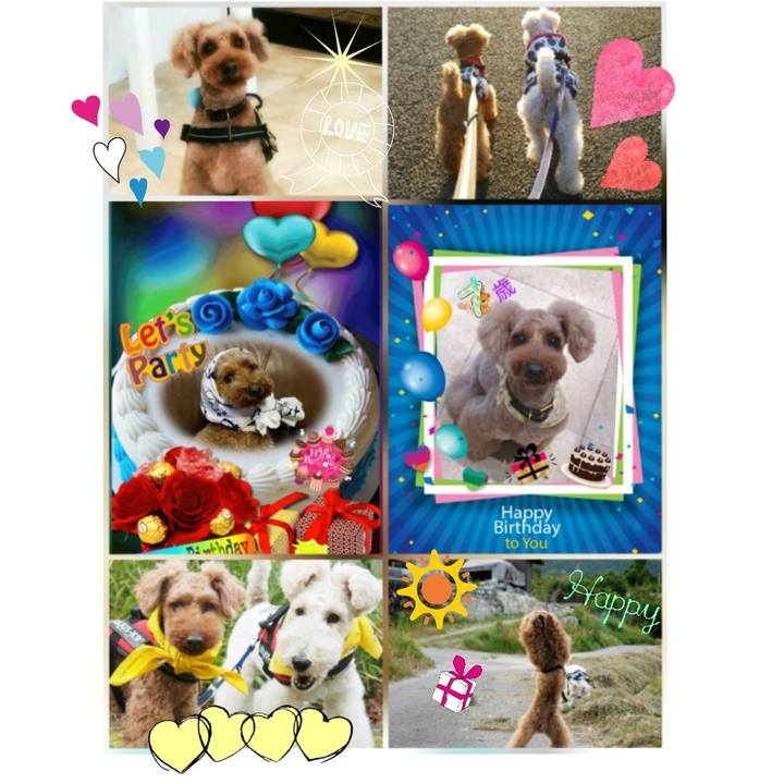 66eaf1a6 a2a1 412e a1b9 086338dafd2f 1528712496493