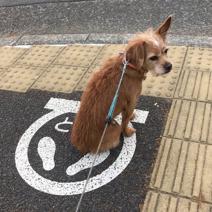 66eb05ea 4ac9 4c9b b95c 1eeddbe6471a 1608538679276