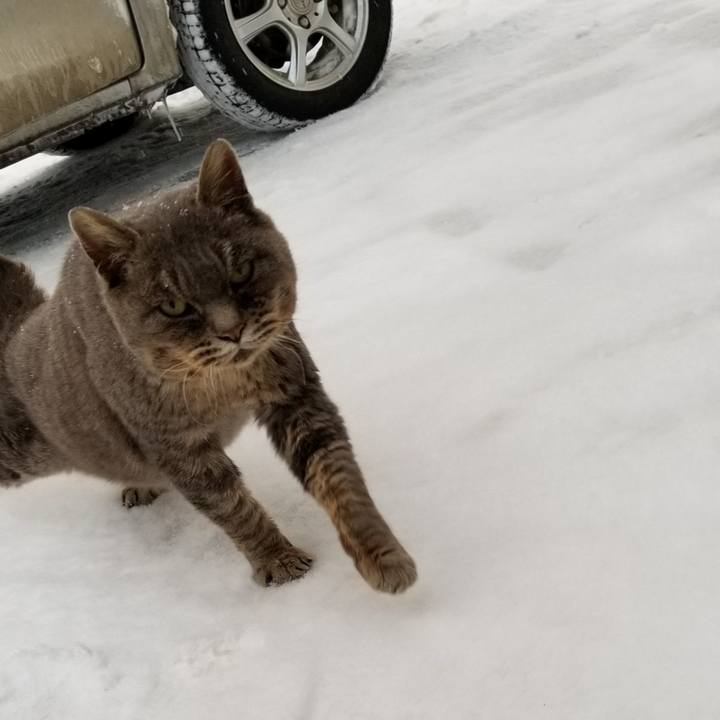 66eb4587 500e 4669 aa03 9f13249afebf 1546437430173