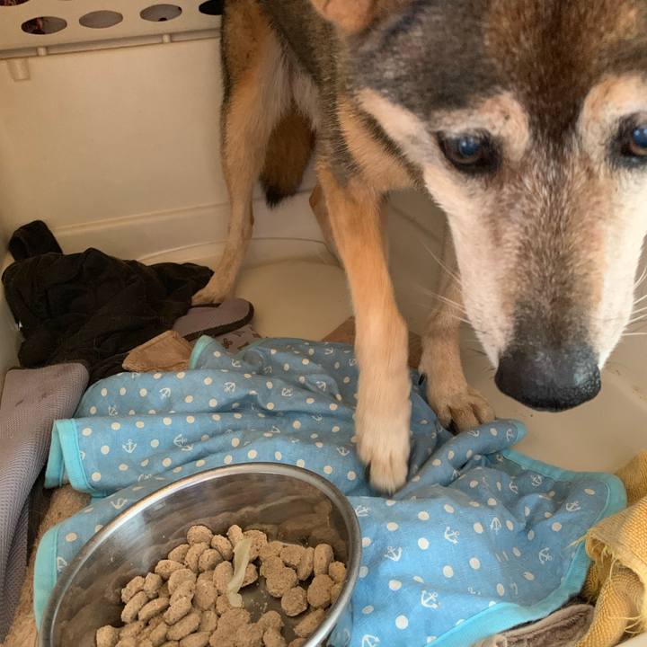 66eb48e9 ef15 45da accd d94a4ca8f85c 1564441770443